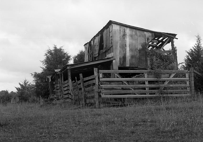 Still Standing