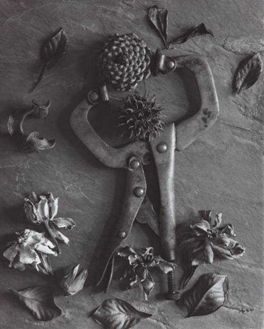 still7