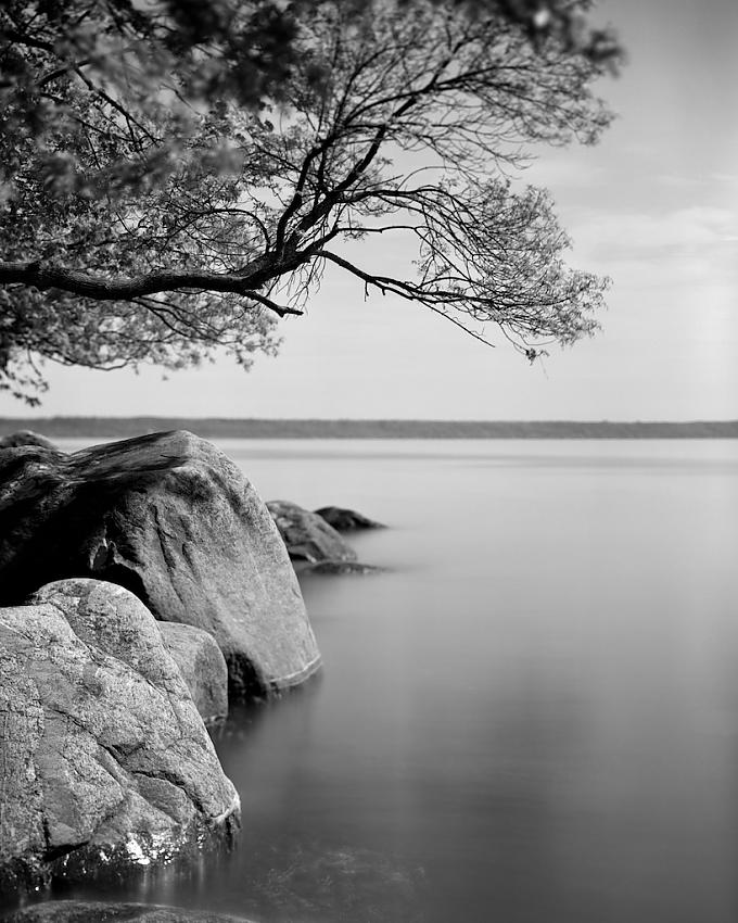 Stillness