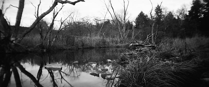 Stillness