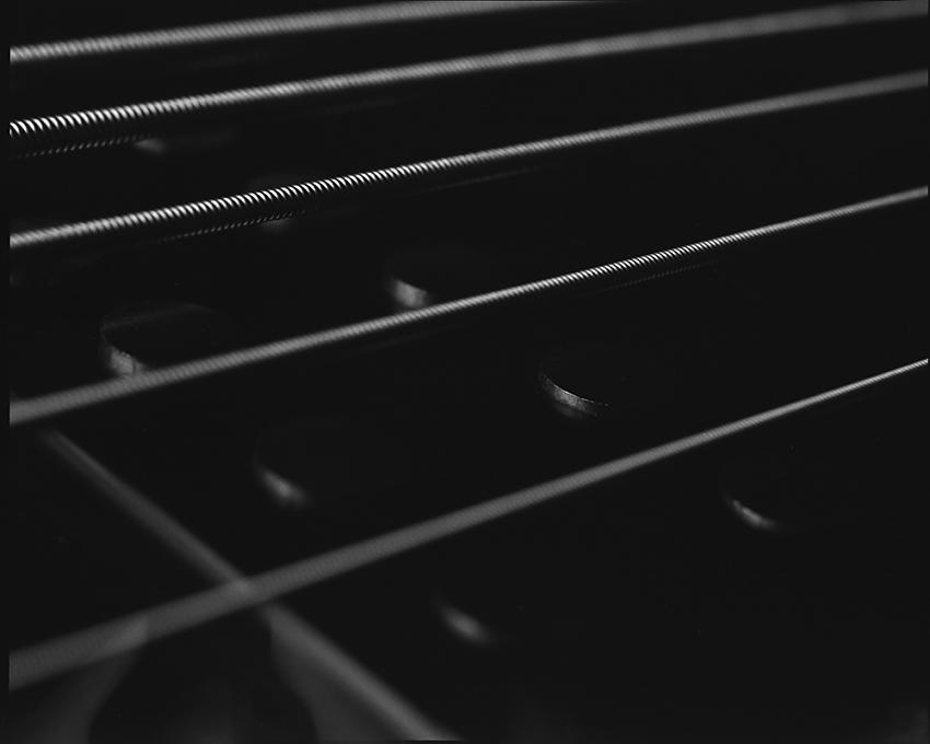 stingray  0001 copy