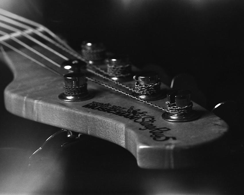 stingray bass 5 0004 copy