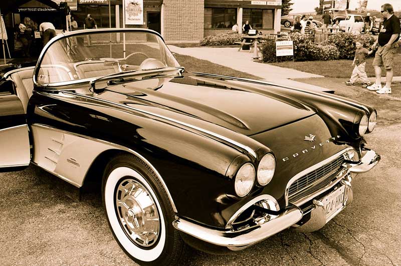 Stingray