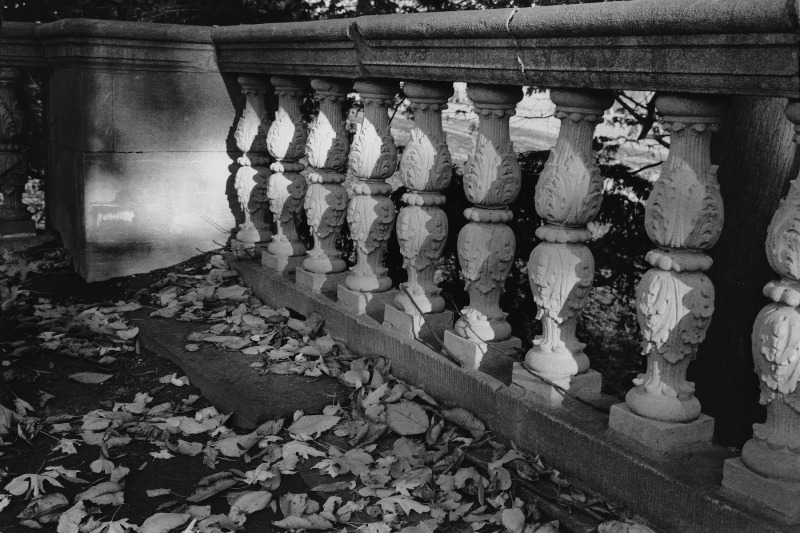 Stone and Leaves