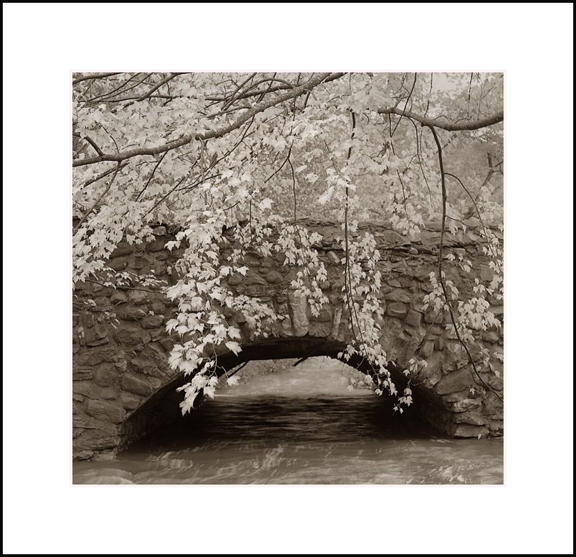 Stone Bridge and Autumn Leaves