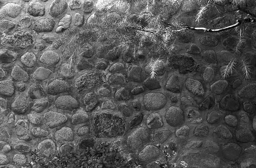 stone, light, flowers, bush, needles