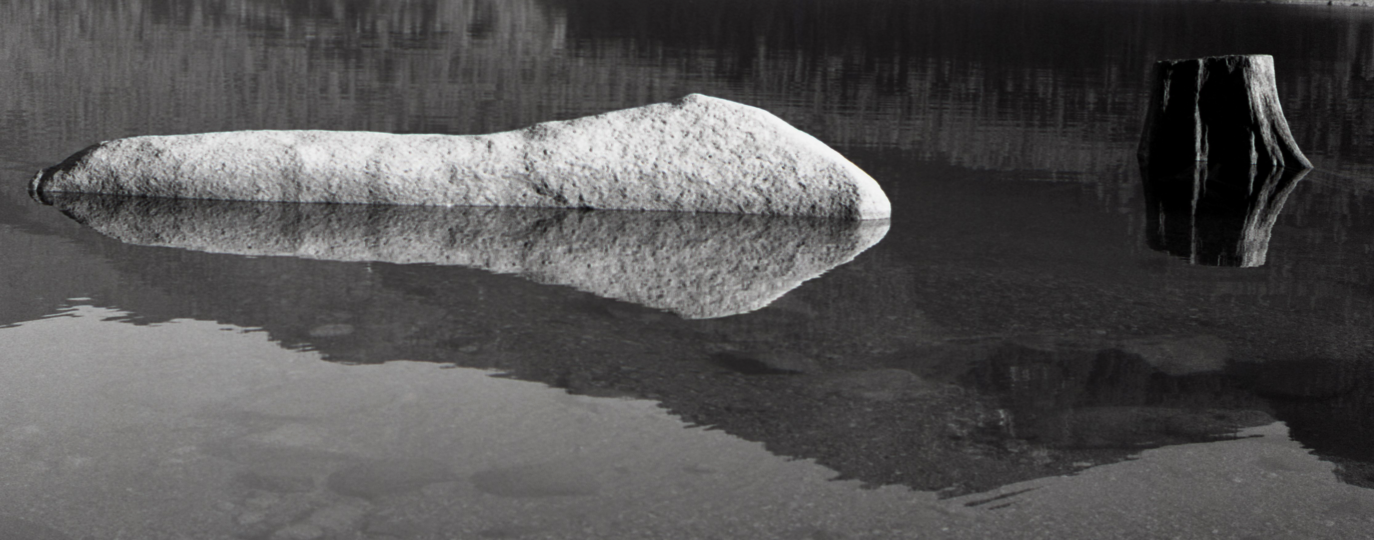 Stone & Stump