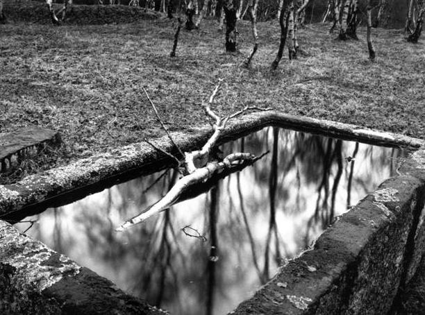 Stone Water Tank