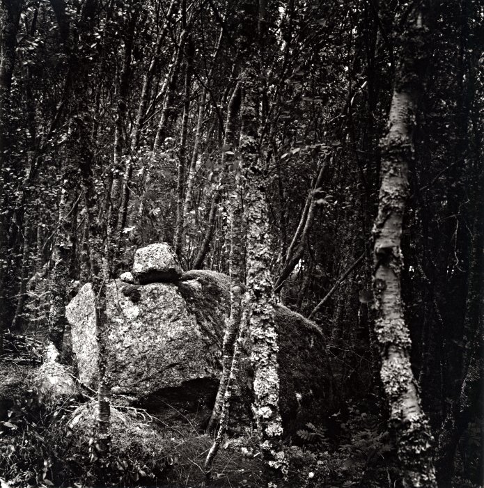 Stone
