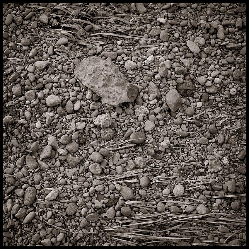 Stones and Grasses