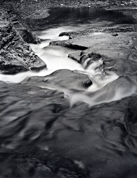 Stony Brook 3