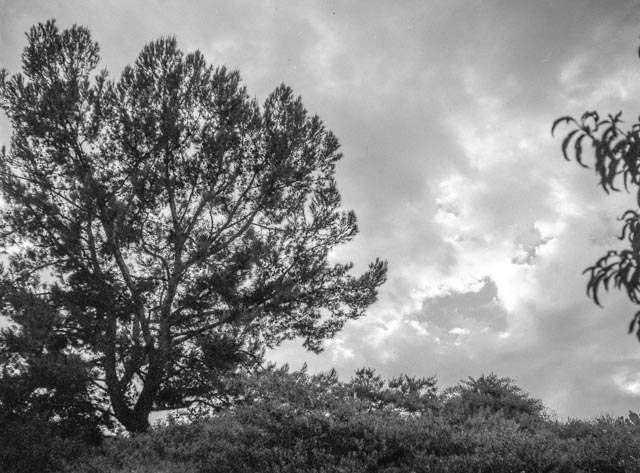 Storm Brewing #2