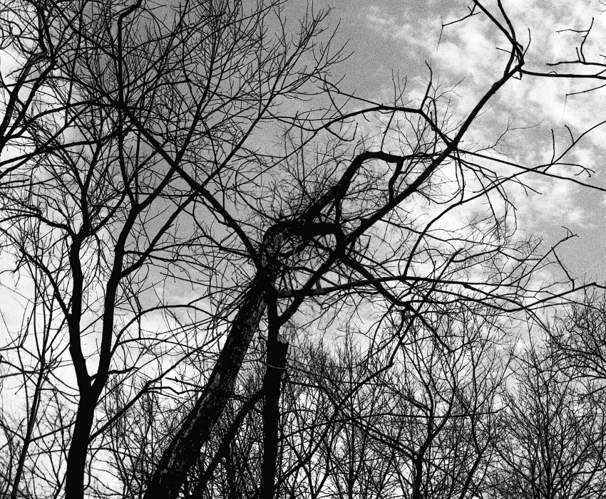Storm Coming 2