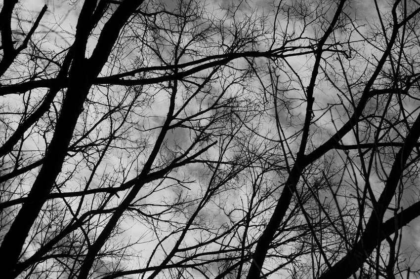 Storm Coming