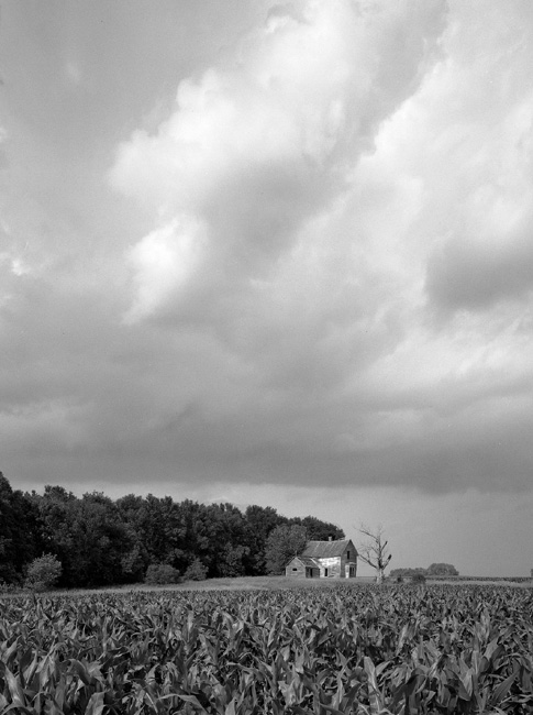 Storm Over Corn
