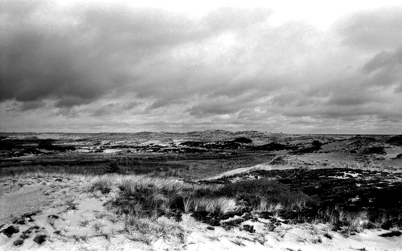 Storm Watch