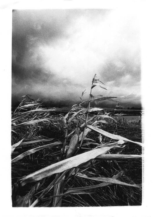 Storm