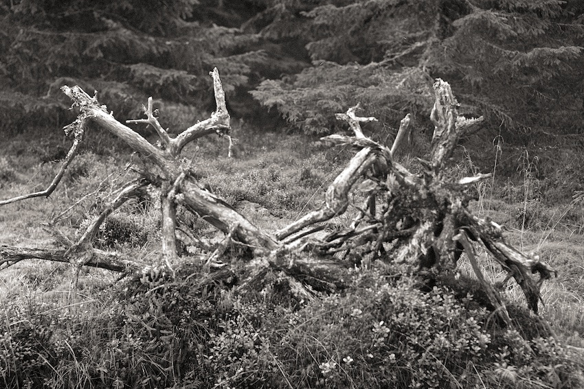 Stranglehold