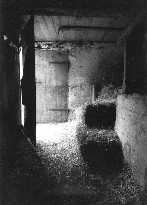 Straw