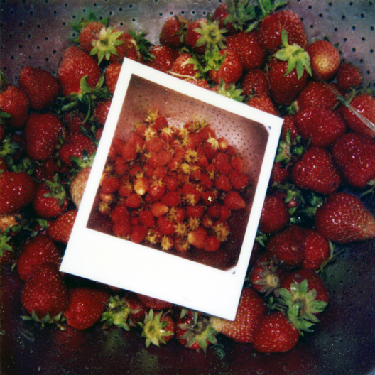 Strawberry x2