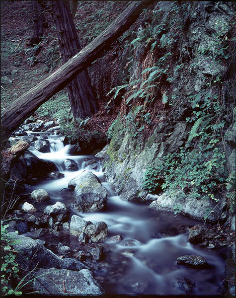 Stream, Big Sur Coast