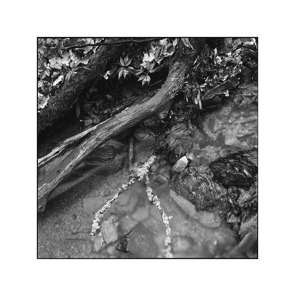 Stream lands