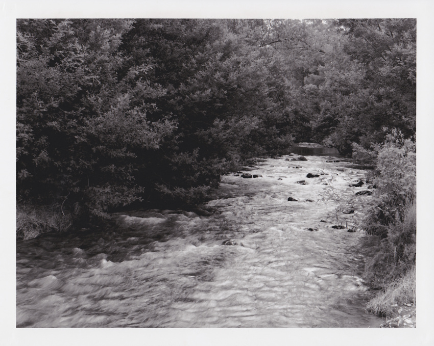 Stream near Mooirivier