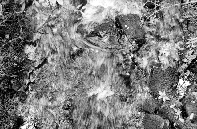 Stream