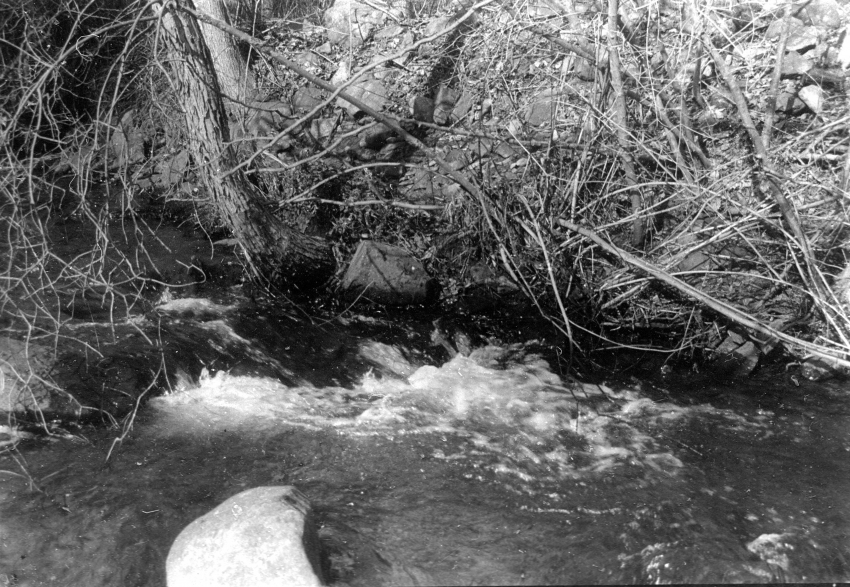 Stream