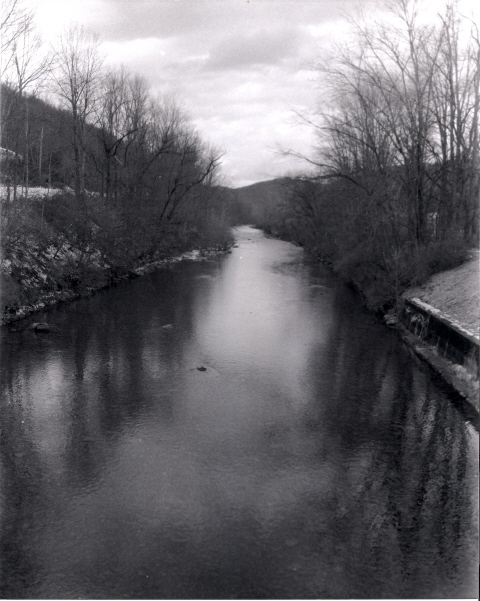 streamside
