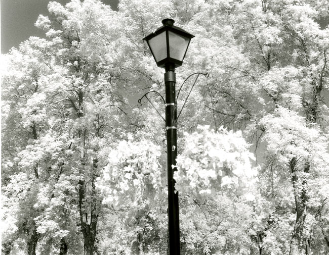 Street Light