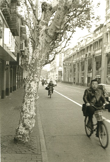 Street of music stores