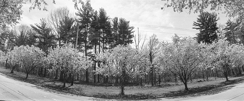 Street Pano