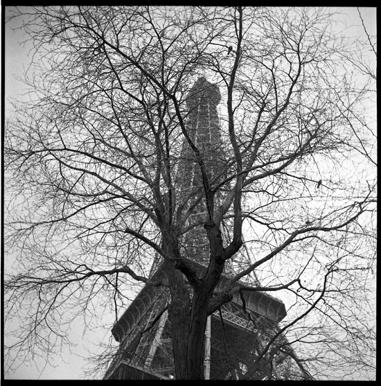 Structure; Eiffel Tower, Paris 2009