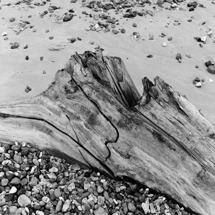 Structured Elements. Suffolk, England.