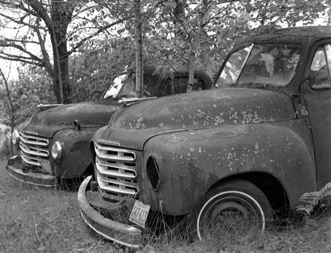 Studebaker pickups