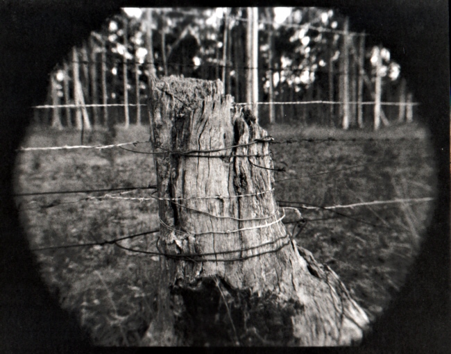 stump post