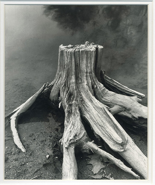 Stump Rocky Gorge