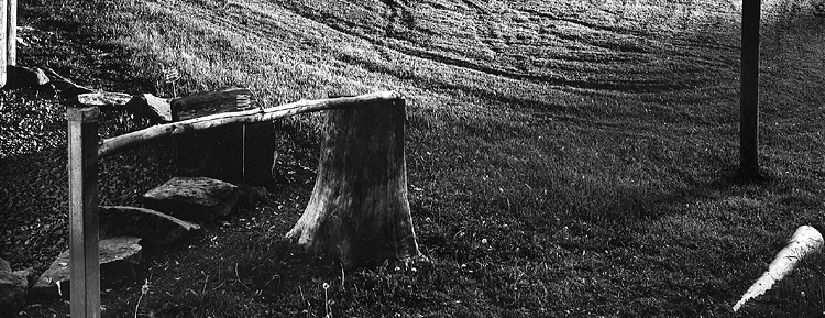 Stump