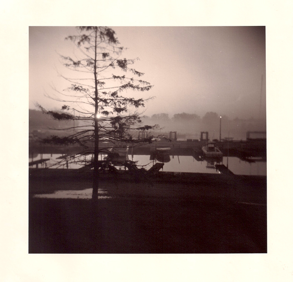 Sturgeon Woods dawn