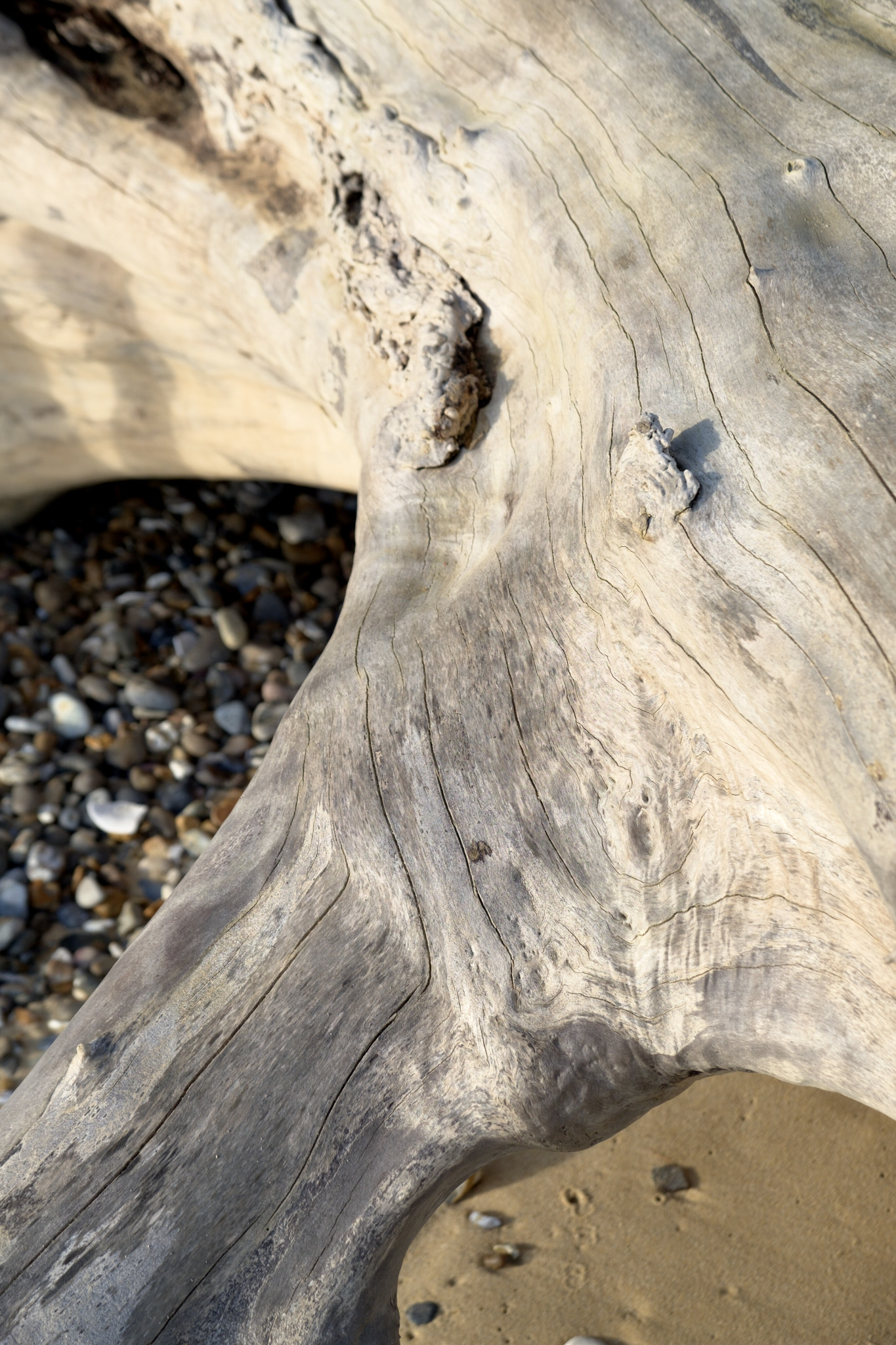 Suffolk coast, Oct 19 - 3