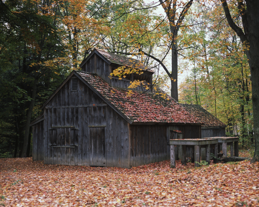 Sugar Shack