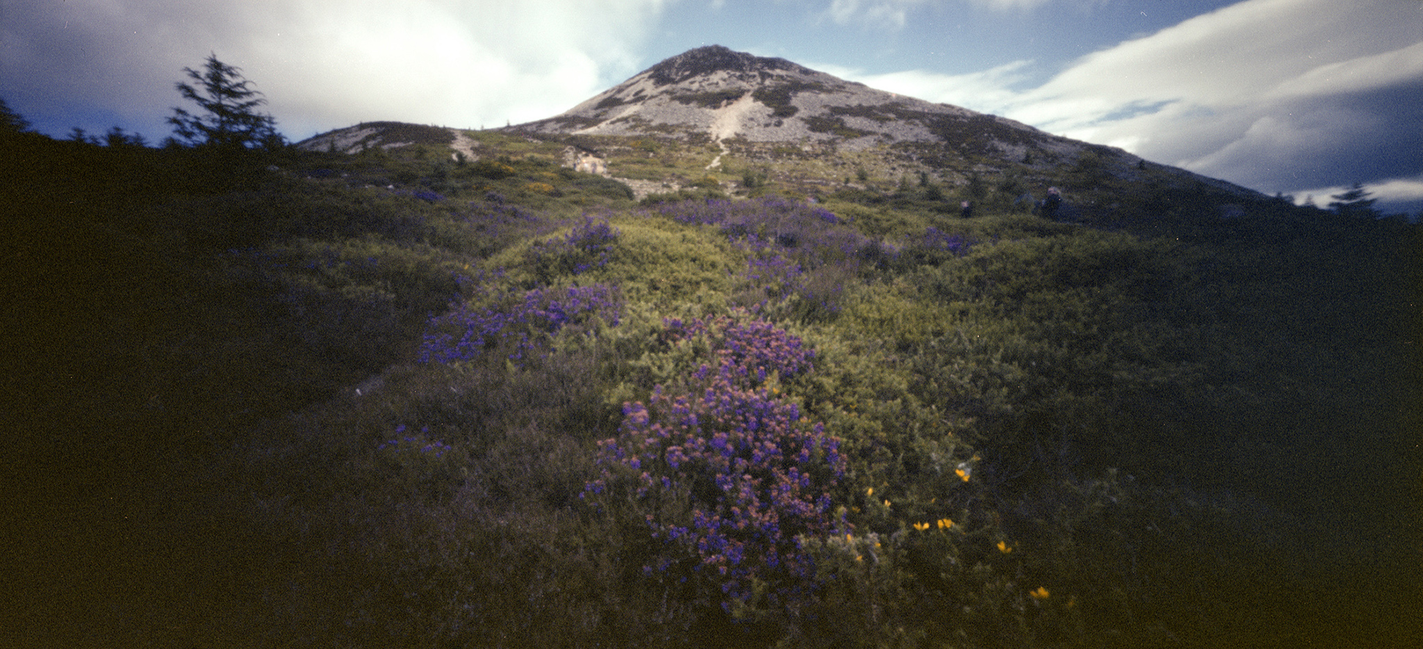 Sugarloaf