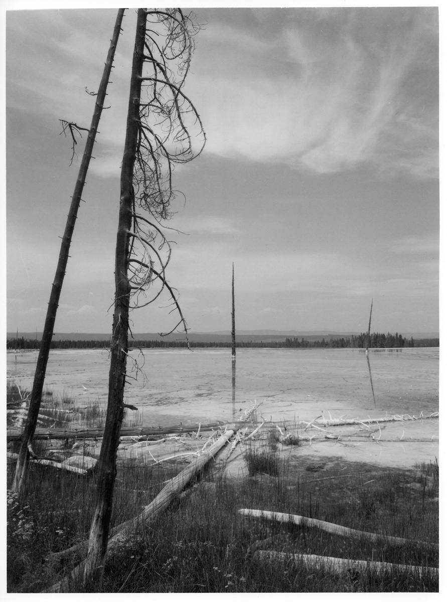 Sulphur Cemetery II