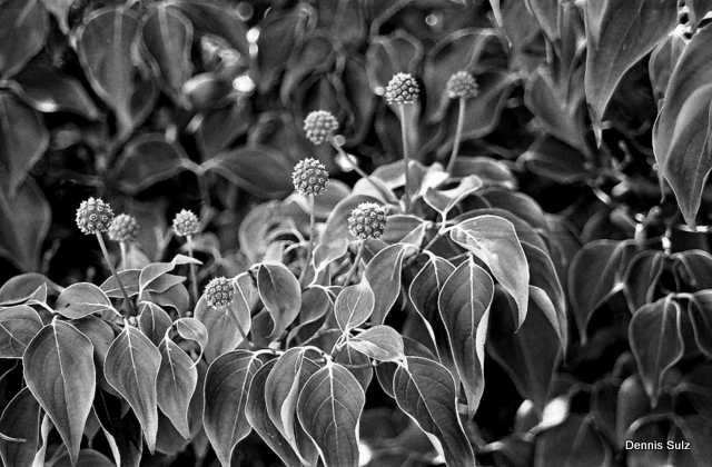 Summer 2010
