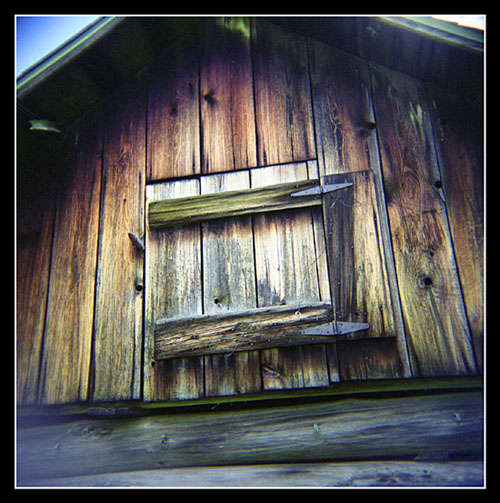 Summer afternoon with my holga