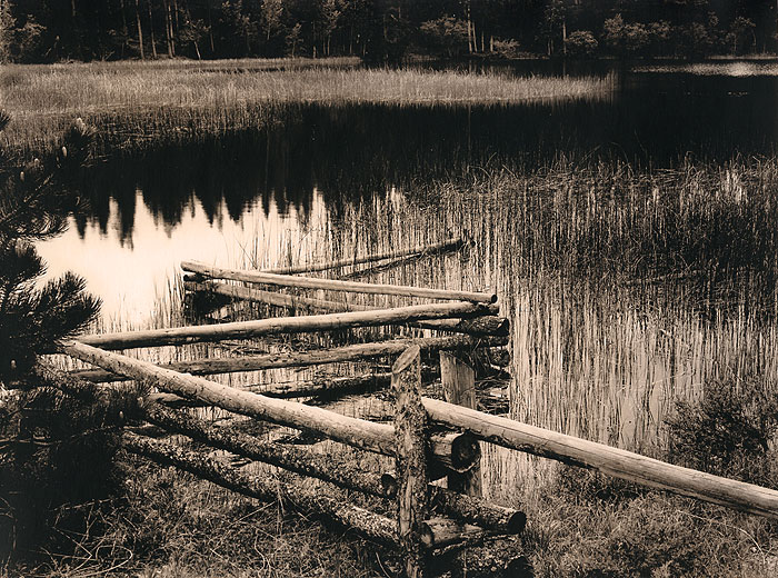 Summer Evening at Mud Lake