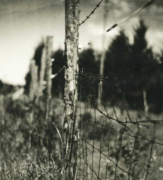 Summer Fence 2