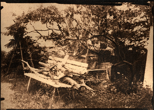 Summer garden