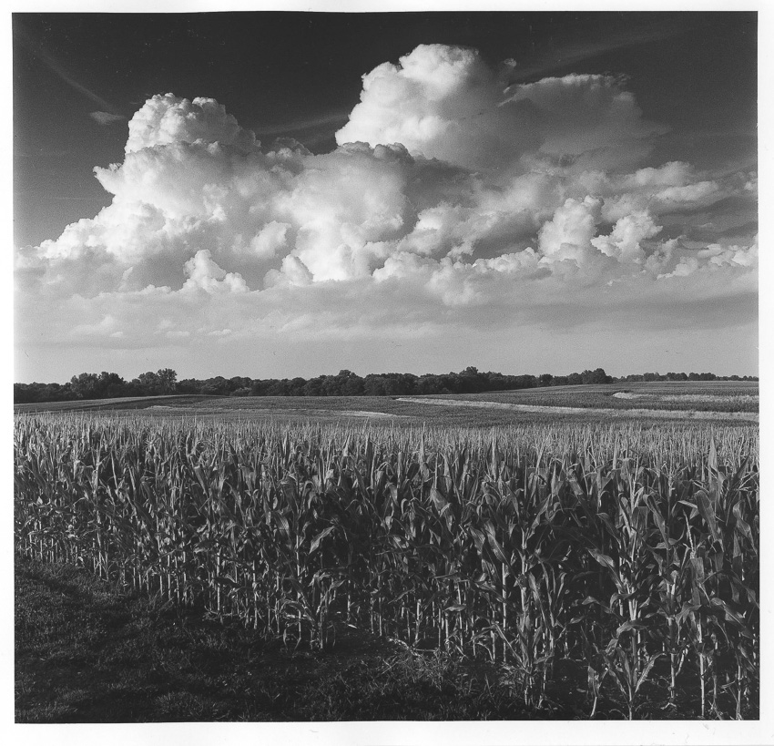 Summer Storm and Corn Field, July 2016